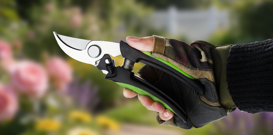 Jungle Expedition Machete