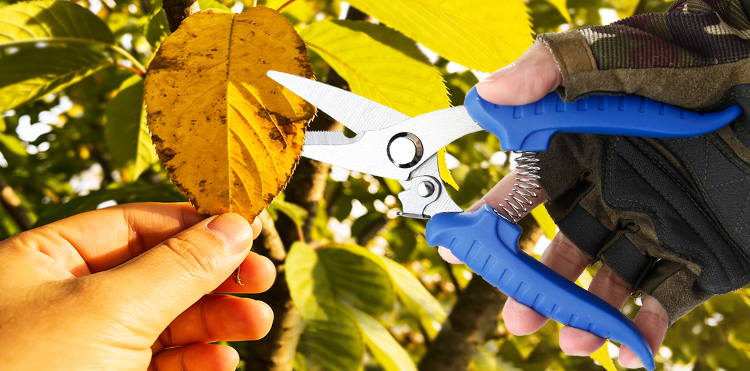 Jungle Expedition Machete