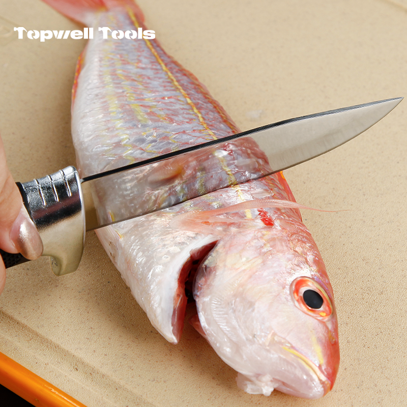 Professional 4" Fixed Blade Fishing Knife with Hard Clip-On Sheath