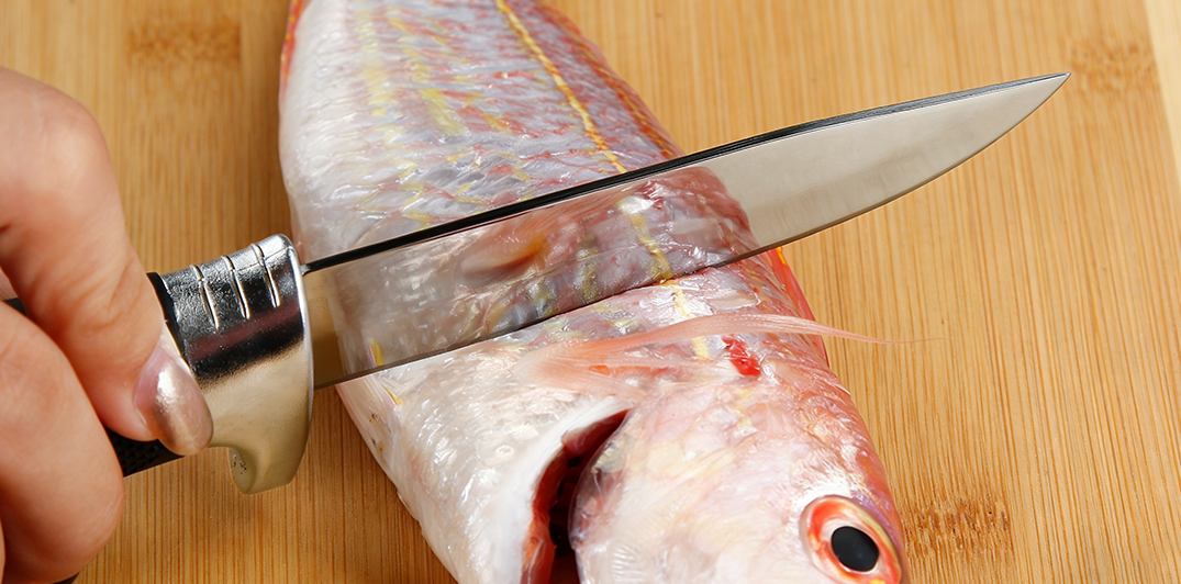 Jungle Expedition Machete