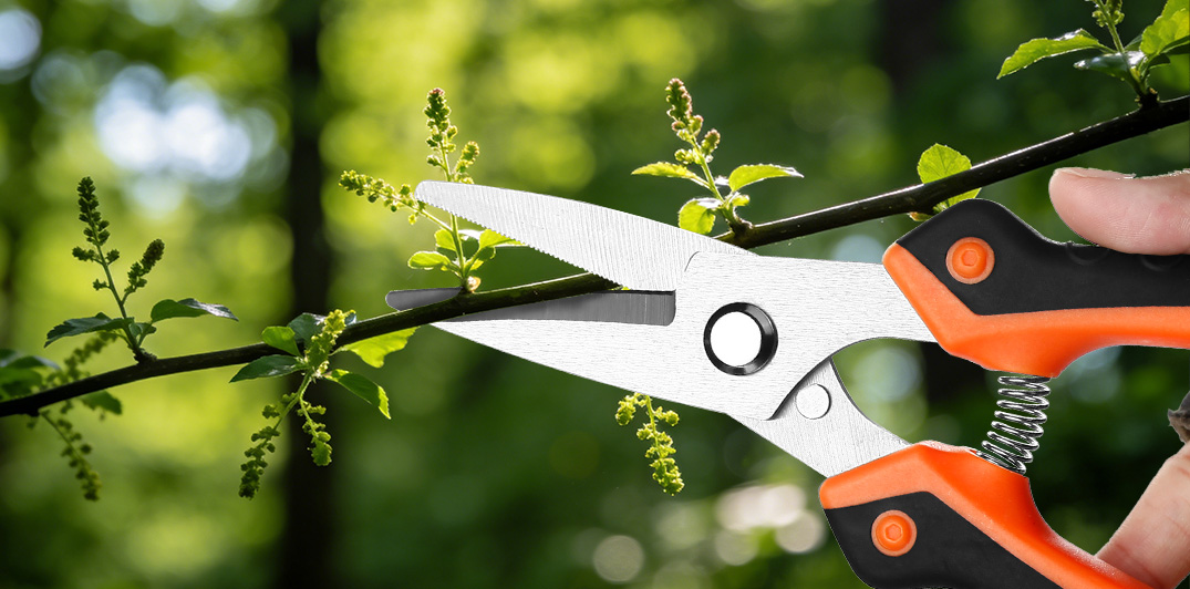 Utility Shears