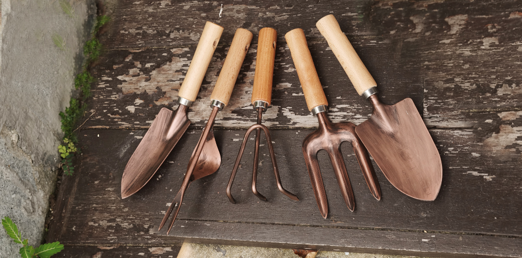 indoor bonsai tool kit